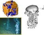 Marine Environmental Modeling and Synthesizing